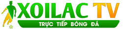 nhà có 5 nàng tiên